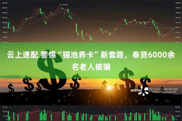 云上速配 警惕“猫池养卡”新套路，奉贤6000余名老人被骗