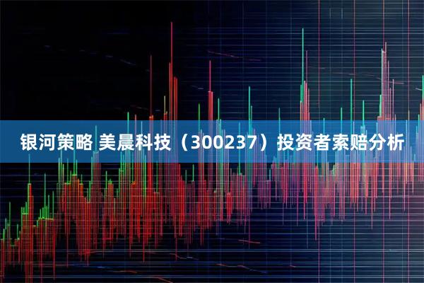 银河策略 美晨科技（300237）投资者索赔分析