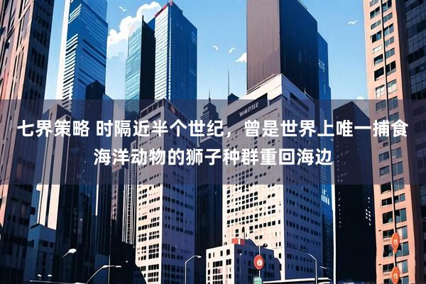 七界策略 时隔近半个世纪,曾是世界上唯一捕食海洋动物的狮子种群重回海边