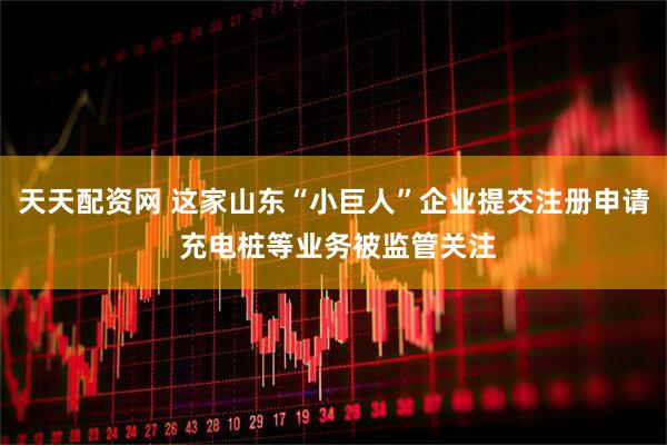 天天配资网 这家山东“小巨人”企业提交注册申请 充电桩等业务被监管关注