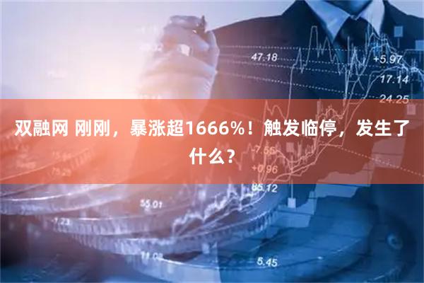 双融网 刚刚，暴涨超1666%！触发临停，发生了什么？