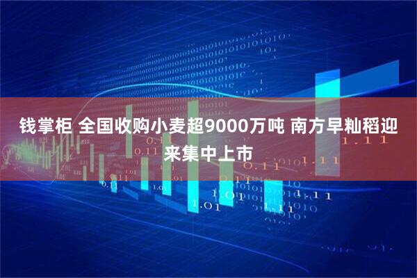 钱掌柜 全国收购小麦超9000万吨 南方早籼稻迎来集中上市